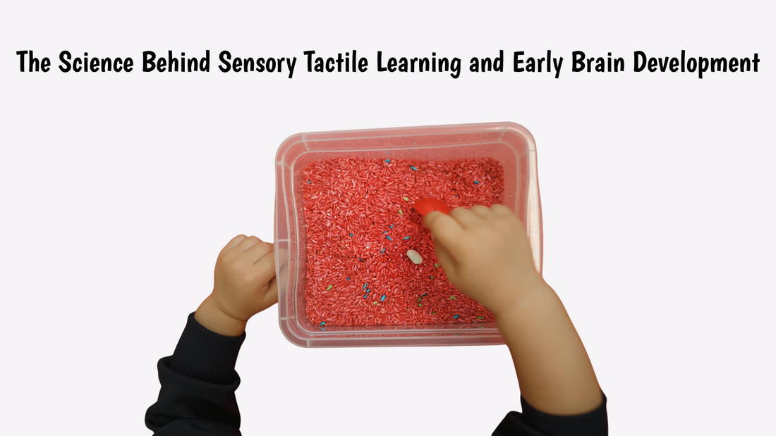 The Science Behind Sensory Tactile Learning and Early Brain Development
