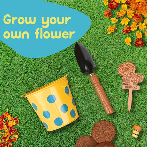 Junior Gardening Set | Flower Growing Set for Kids | Child-sized wooden tool | Planter | Soil | Seed | Birthday Return gifts