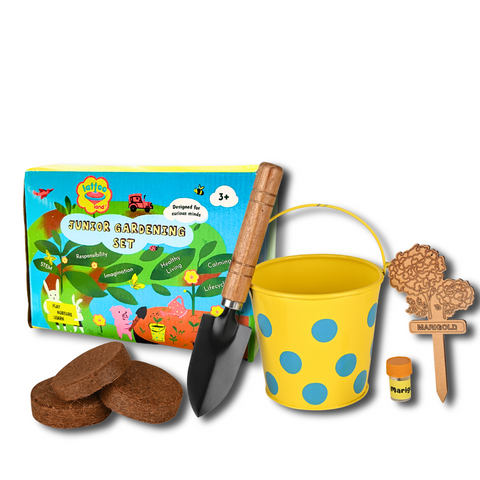 Flower growing kit toy set for boys and girls