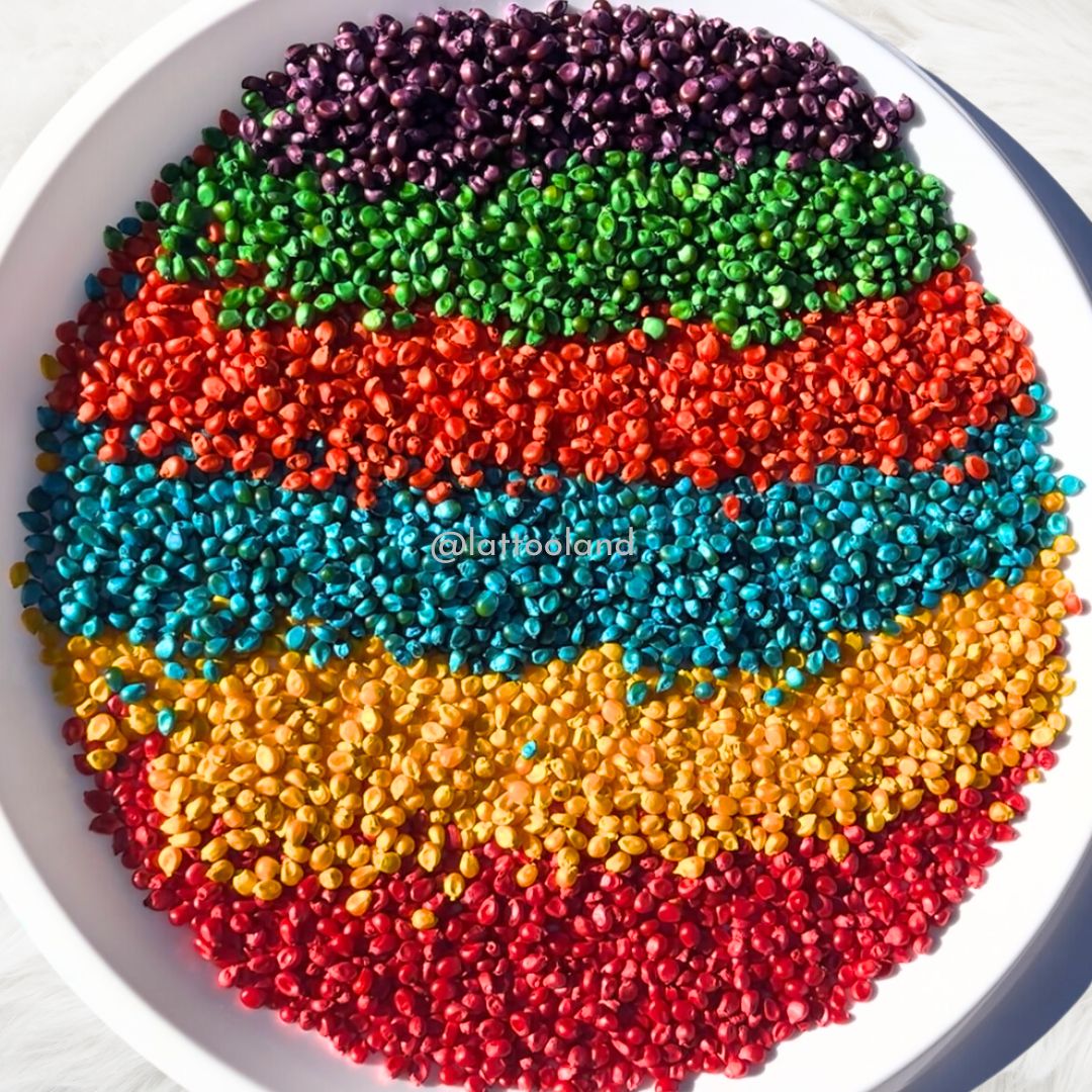  A sensory bin filled with colorful corn kernels, offering an engaging and safe sensory experience for toddlers . corn for sensory table