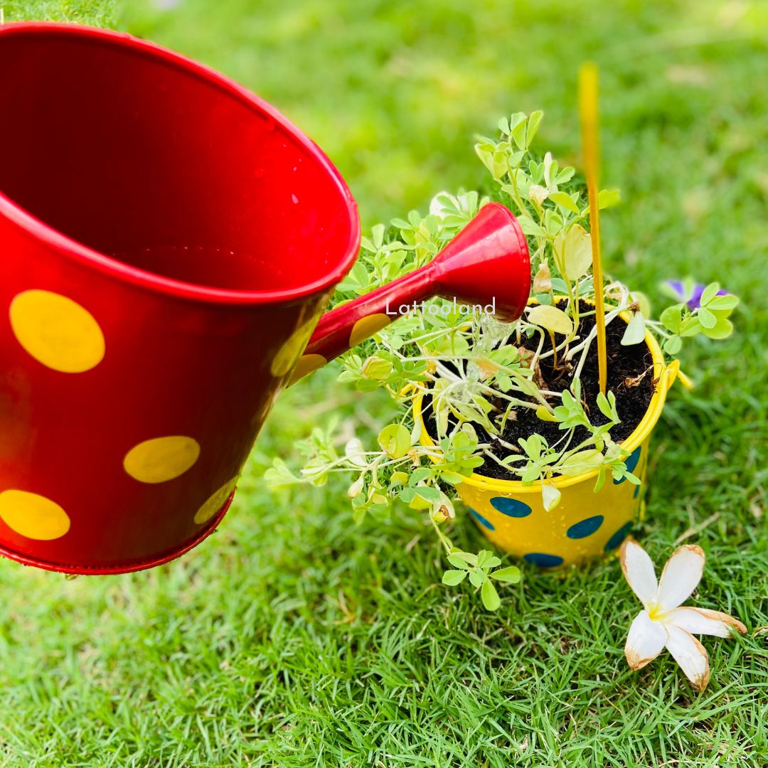 kids plant pot and watering can flower grow kit
